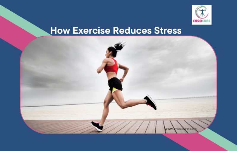www.ensocure.com-exercise reduces stress