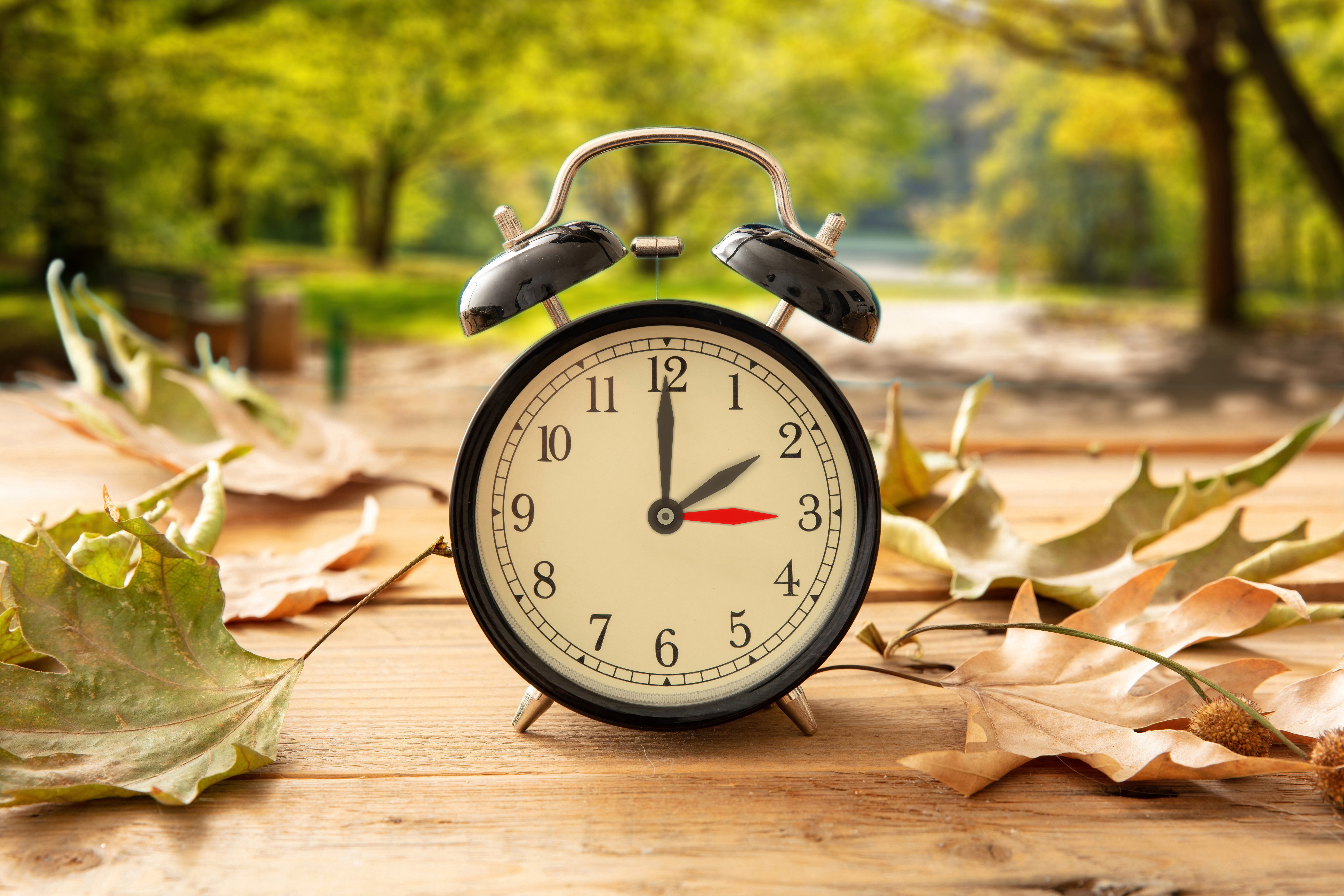 Daylight Saving Time, Fall Back one hour. Black alarm clock with time change on wooden table. Autumn trees and leaves background